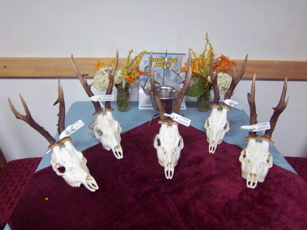 Ocenjivanje trofeja 2013.godine