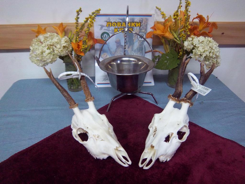 Ocenjivanje trofeja 2013.godine